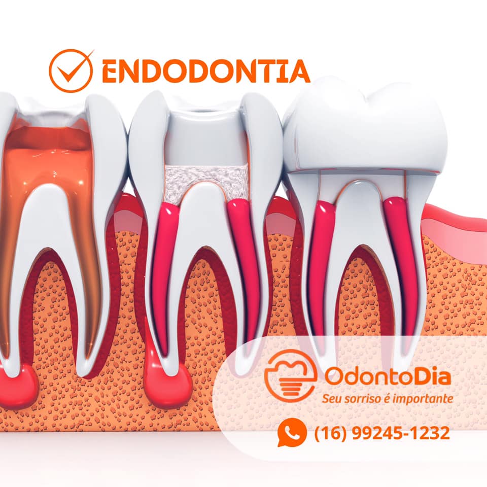 Odontologia